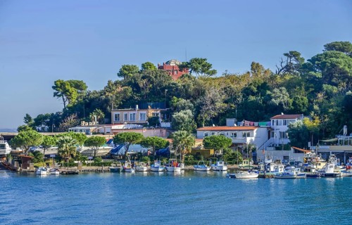 Fishing boats