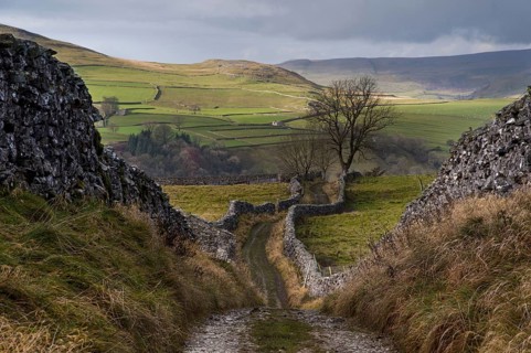 Bridleway meanders between dry stone walls in upland farmland