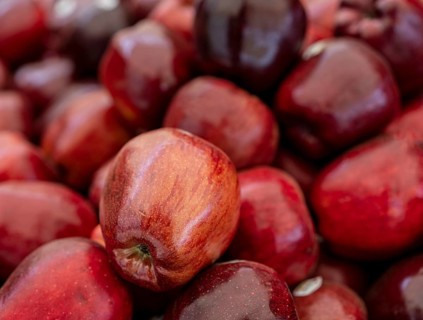 Apples at a market stall on the grounds of the asparagus farm in Klaistow