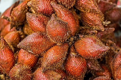Salak