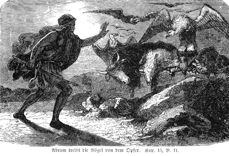 Abram drives the birds from the sacrifice