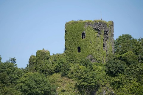 View of ivy-covered castle ruins on a hill in the coastal bay