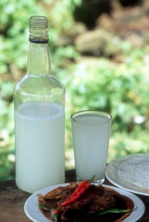 Toddy or kallu