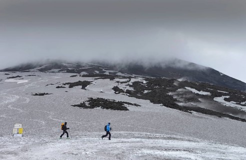 Skier