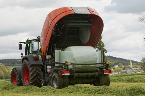 Cow in a baler and wrapper