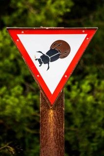 Sign on pill bugs