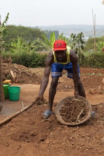 Farmers mix manure and compost into the soil to improve fertility