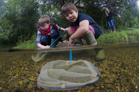 Children pond-dipping with nets in river