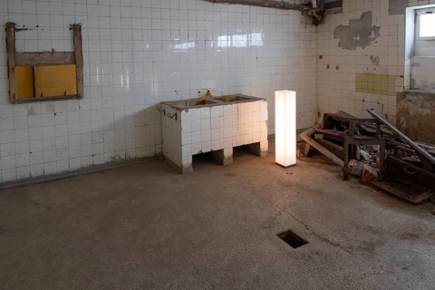 Dissection cellar