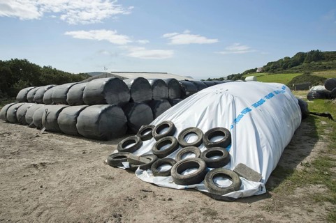 Ag bag silage with large silage bales wrapped in plastic