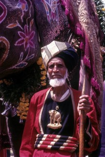 Mahout in Dussehra