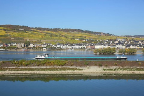 View of Ruedesheim on the Rhine with vineyards and UNESCO Abbey St. Hildegard in autumn from the harbour in Bingen