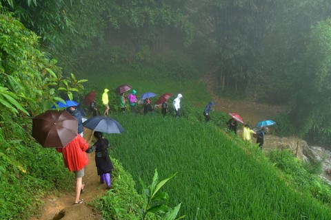 Hiking