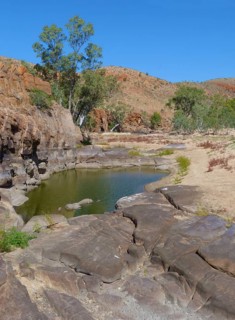 View of active waterhole during dry season