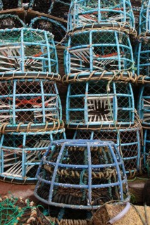 Squid plastic pots