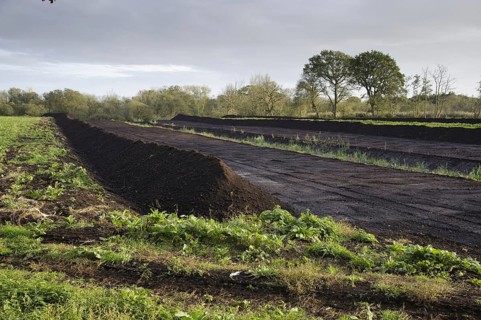 Peat extraction