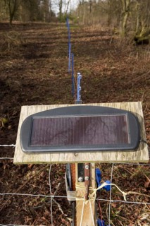 Solar-powered electric fences used to contain livestock