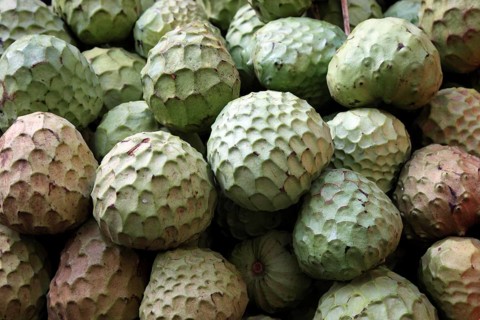 Cherimoya