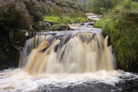 View of cascading stream and waterfall