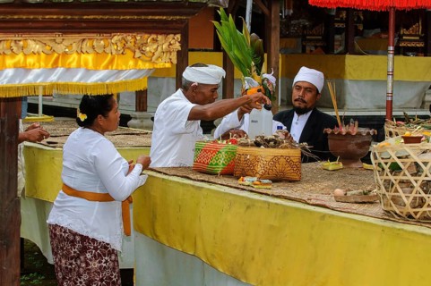 Hindu priest preparing sacrificial ritual