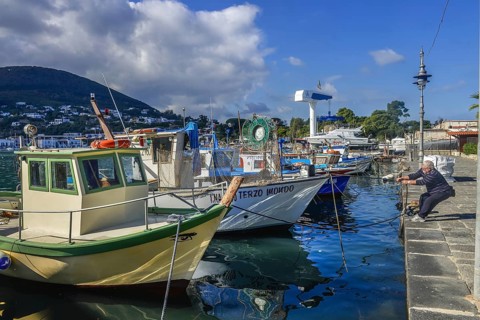 Fishing boats
