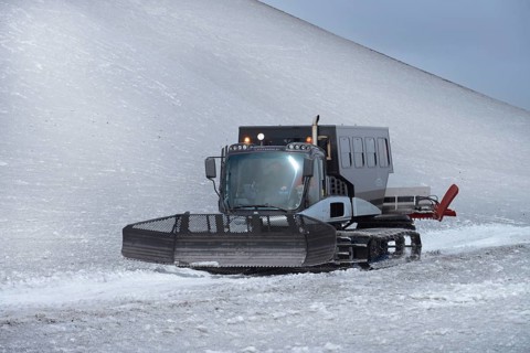 Snow caterpillar