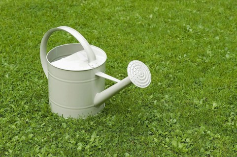 Painted metal watering can on garden lawn