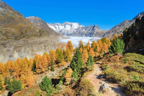 Grosser Aletschgletscher und Wannenhoerner