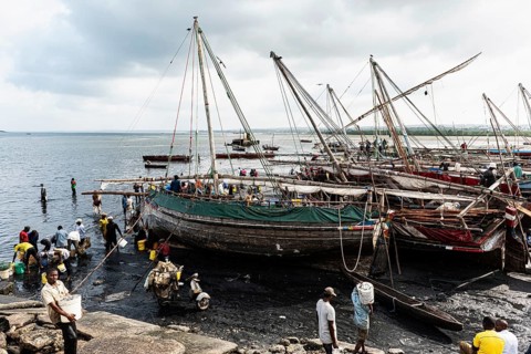 Fischer und Fischhaendler am Fischereihafen