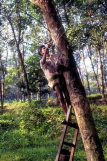 A Tapper at work