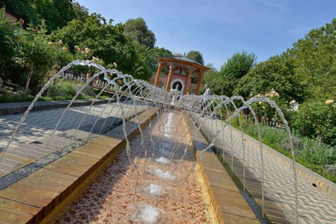 Oriental Garden