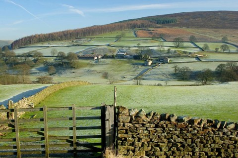 View of gate