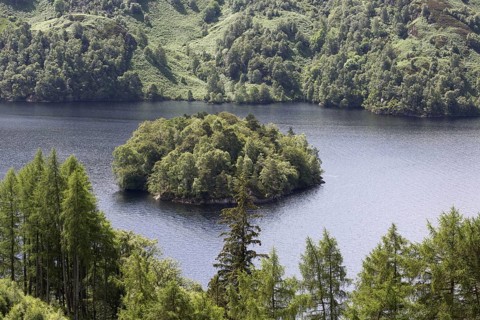 View of freshwater loch with forested island