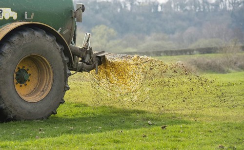 Slurry tanker spreading manure on grassland near Longridge