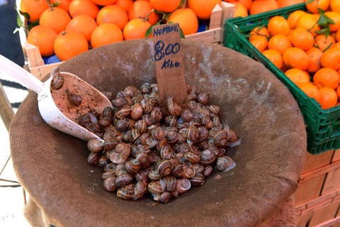 Snails