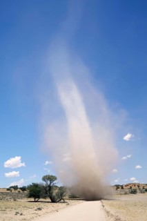 Dust devil cyclone crosses sand road in semi-desert