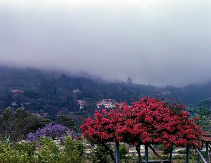 Coonoor