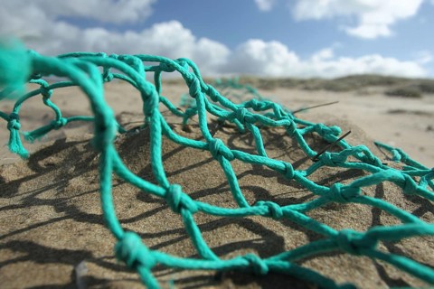 Trawl washed up on beach