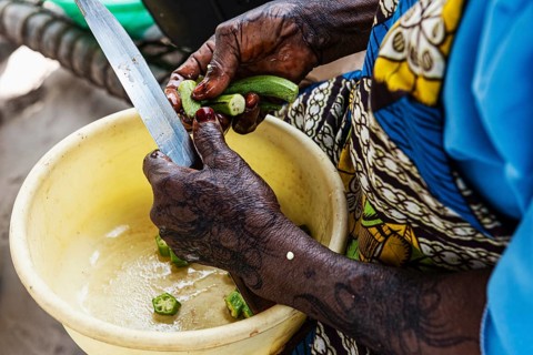 Woman cutting vegetables