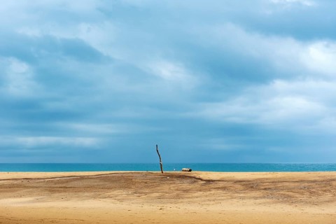 Wooden pole and driftwood on deserted beach