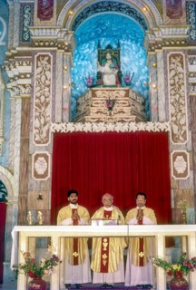 Priest preaching Santa Cruz Basilica in Fort Kochi