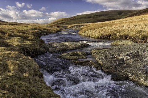 View of river flowing through moorland habitat