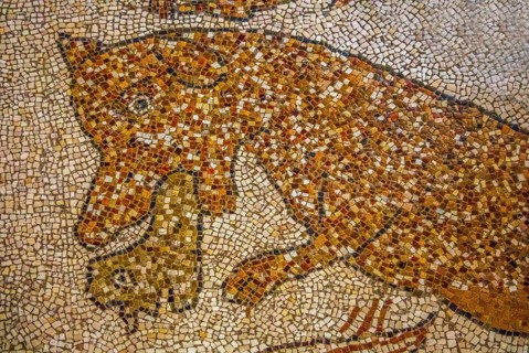 Floor mosaic in the Cathedral dell' Annunziata