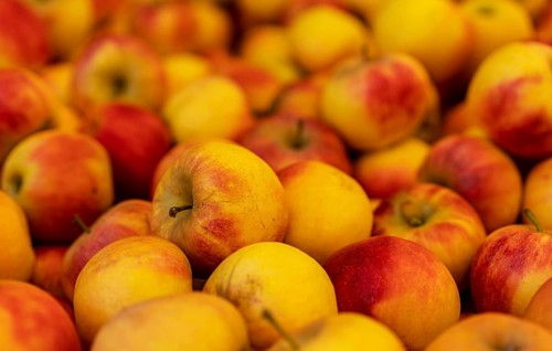 Apples at a market stall on the grounds of the asparagus farm in Klaistow
