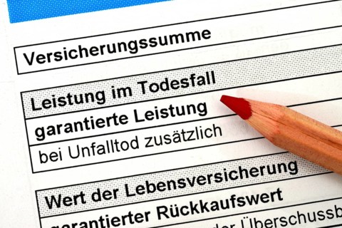 Insurance policy life insurance