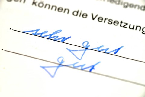 School report