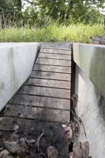 Hedgehogs and small mammal steps in the cattle grid