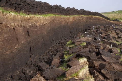 Peat cutting