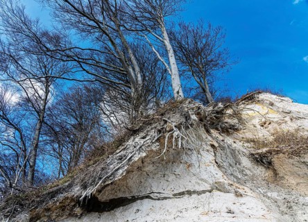 Steiler Abhang an den Kreidefelsen der Piratenschlucht in Sassnitz
