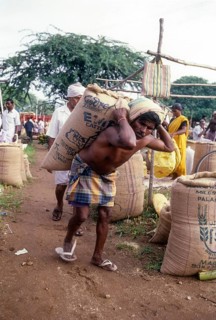 Day labourer carrying heavy bag on back spinal in Perundurai near Erode